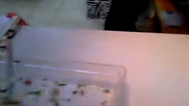 шаурма а потом в интернет смотреть онлайн
