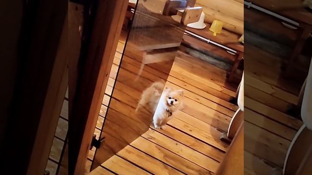Банный комплекс с бассейном и беседкой на 30 человек смотреть онлайн