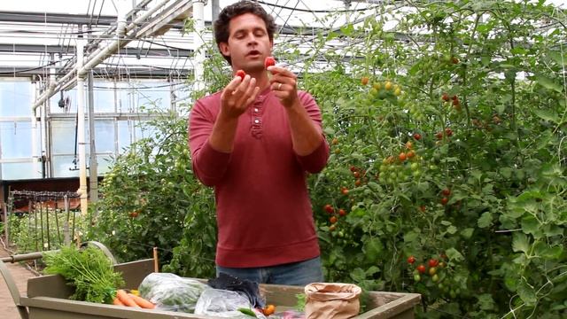 GREENHOUSE TOMATOES: From the Field смотреть онлайн