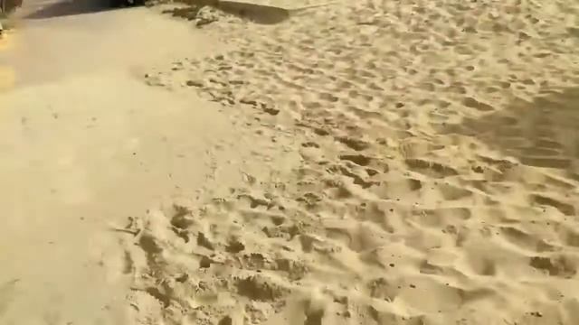 Delfino Beach Resort & Spa 4* хаммамет тунис