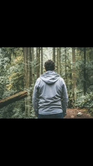 выживание в лесу?как выжить в лесу? #shorts смотреть онлайн