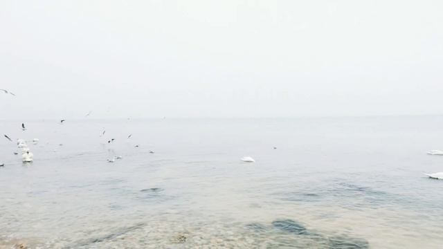 Евпатория. смотреть онлайн