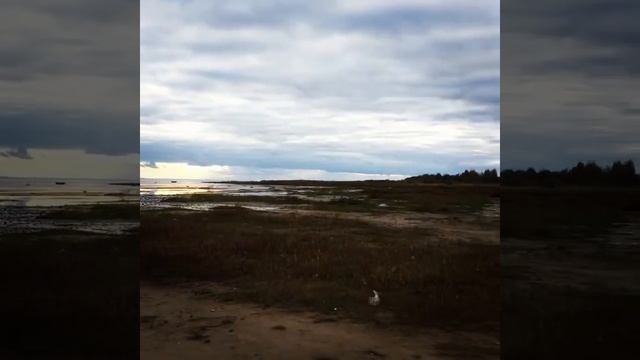 Курицко, Ильмень, Новгород, Юрьево sia смотреть онлайн