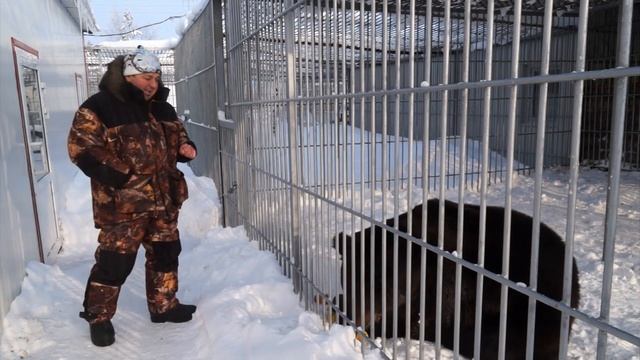 Медведь Ромка смотреть онлайн
