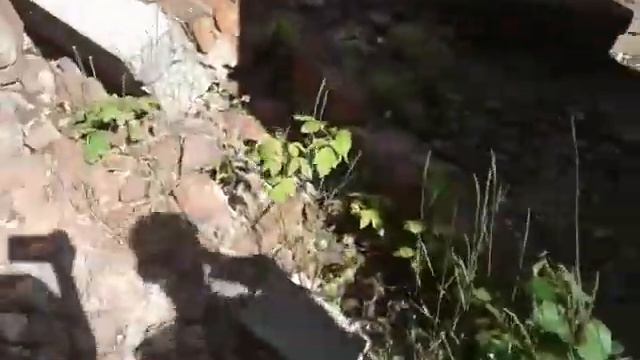 Мы на заброшенный доме с другом смотреть онлайн