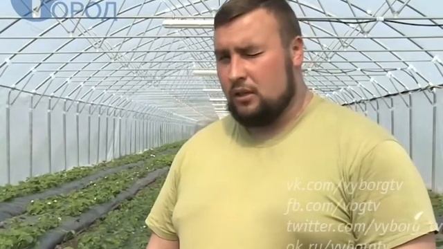 Посевная "СХП Лосево" 2017 смотреть онлайн
