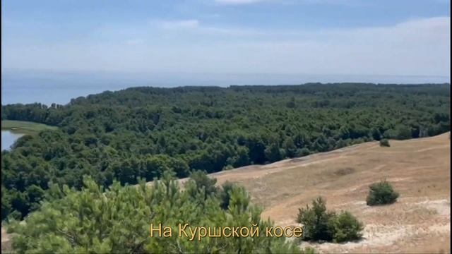 Отдых в Зеленоградске смотреть онлайн