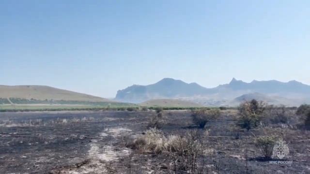 На пожаре в Коктебеле спасли ежа смотреть онлайн
