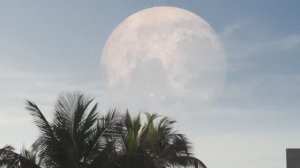 Что, если Луна врежется в Землю...