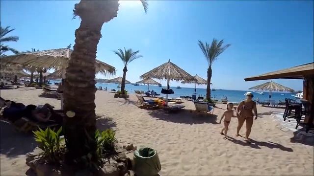 Пляж отеля Hilton Fayrouz, июль 2014 смотреть онлайн
