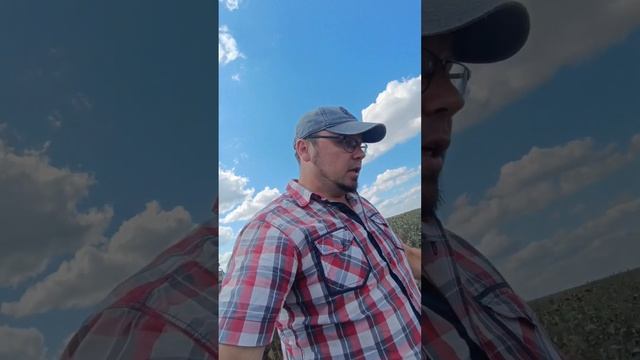 Командировка в Вольский район. начало трудовой недели. КФХ Чуев В. К. смотреть онлайн