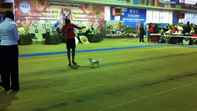 Ярбург Шарм Эль Шейх смотреть онлайн