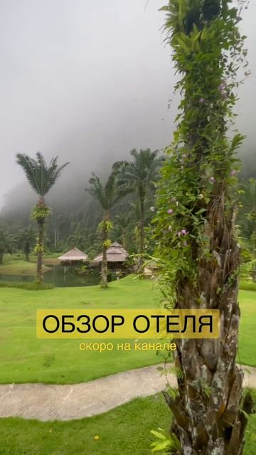 Обзор отеля Boutique hotel hideaway 💚 Таиланд. 💚 Скоро новый выпуск на канале 🔥 смотреть онлайн