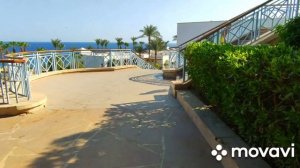 Park Regency sharm el sheikh resort 5* территория/обед в столовой.