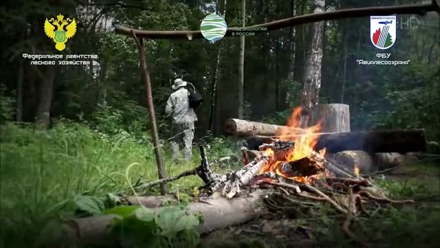 Берегите лес Социальная реклама смотреть онлайн