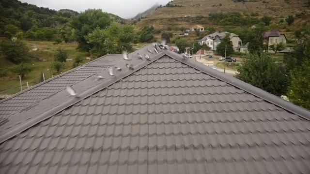 Дагестан, турбаза Гуниб, голуби смотреть онлайн