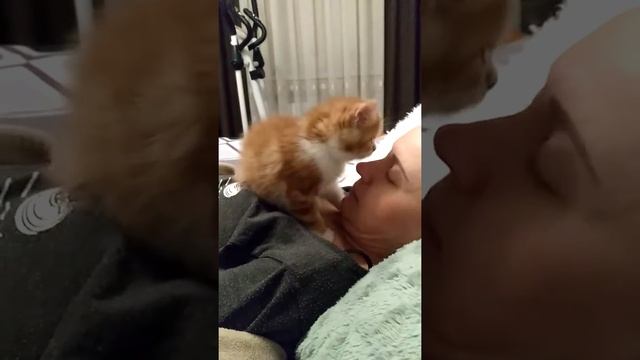 Рыжий доктор спешит на помощь :)))) смотреть онлайн