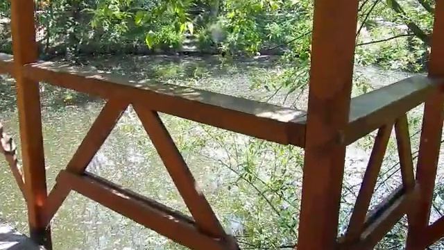 Мукачеве Графський Двір 30 04 2018 смотреть онлайн