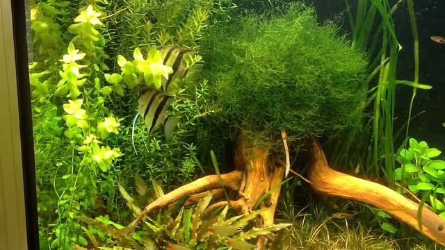 IMG 0232 смотреть онлайн