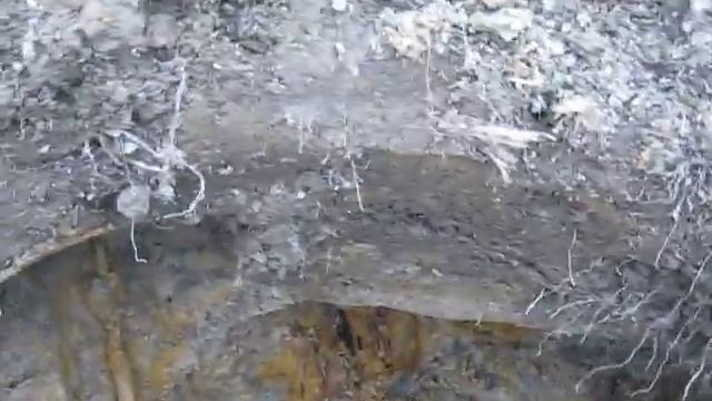ПО"Василеостровец"поднимаем 4-х солдат РККА на поле. Видео 6 смотреть онлайн