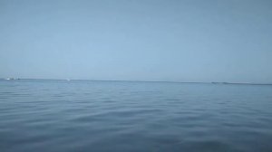 Aurora Oriental Resort Sharm El Sheikh 5* октябрь