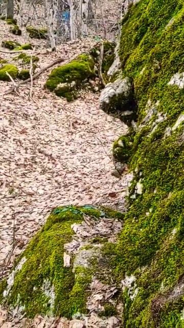 Древние руины в горах Крыма смотреть онлайн