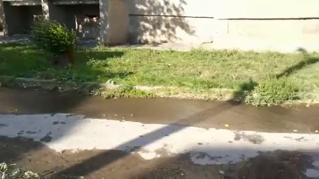 порыв воды на ХБК смотреть онлайн