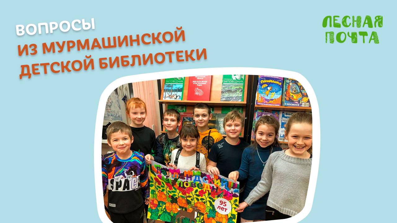Письмо из Мурмашинской детской библиотеки. Лесная почта Лапландского заповедника смотреть онлайн