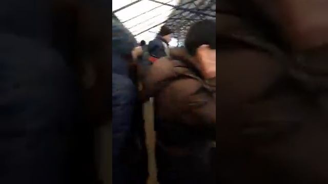 Что? Не клюет? смотреть онлайн