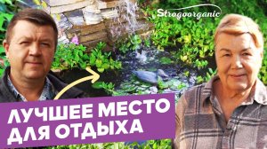 Мини-водопад на участке своими руками / Ученицы Strogoorganic