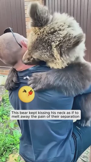 Когда животные скучают...