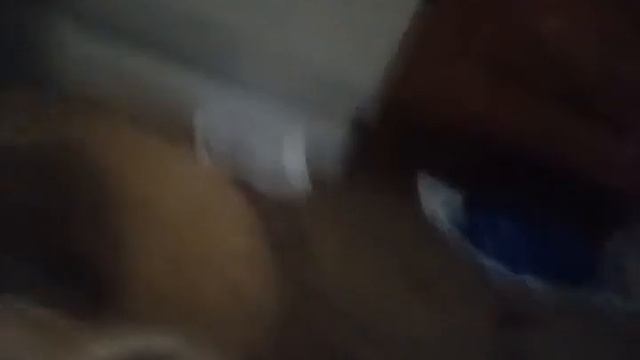 5 дней в дома с папай смотреть онлайн