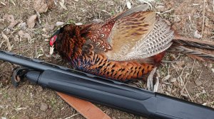 Снаряжаем патрон 12 калибра