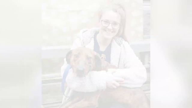 Tierheimhund hilft Jugendlichem bei Angstanfall und sie adoptiert ihn смотреть онлайн