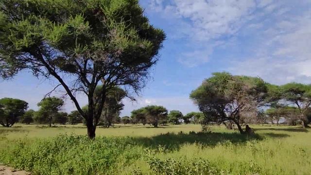 Tanzania(1) смотреть онлайн