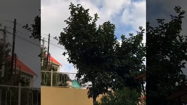 Дадаян Отель