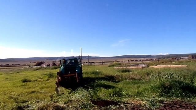 В гости приехал наш подписчик, совместно копаем картофель смотреть онлайн