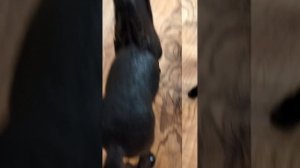 Сериал шляйх ,, Сон во сне ,,   1 серия