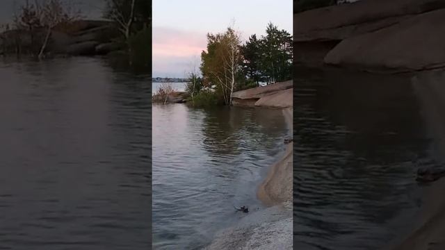 Зеренді. Июльский вечер смотреть онлайн