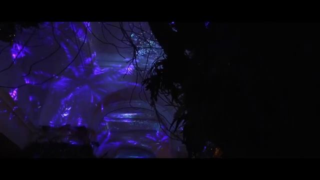 Объёмные и панорамные проекции в ресторане Jungle Palace Restaurant в Париже смотреть онлайн