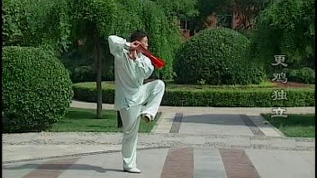 Тайцзи Яншен: "Тайцзи-Веер №2" Система "Даоинь Яншен Гун", созданная Грандмастером Чжаном Гуандэ смотреть онлайн