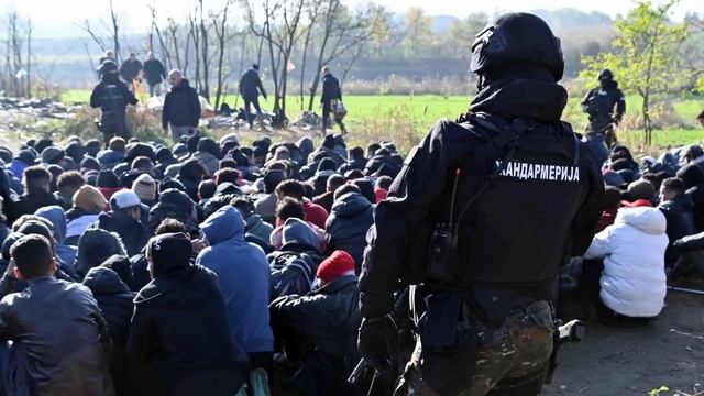 ЗАЧИСТИЛИ ПРИТОН МИГРАНТОВ! СНЕСЛИ КИШЛАК И РЫНОК С ПОМОЯМИ И КРЫСАМИ! смотреть онлайн