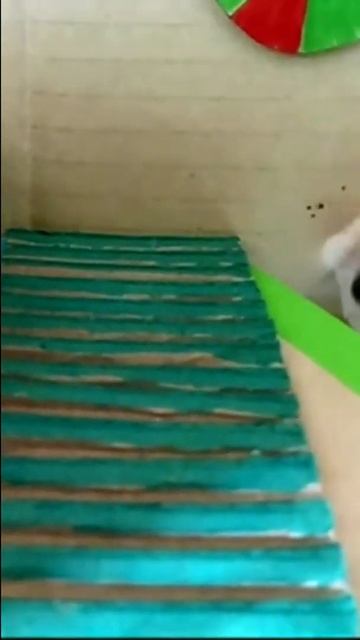 DIY Hamster Escape 15 Obstacles By Using Cardboard смотреть онлайн