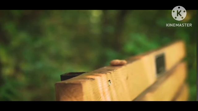 мы родились в Сибири//что случилось с дедом//обзор канала смотреть онлайн