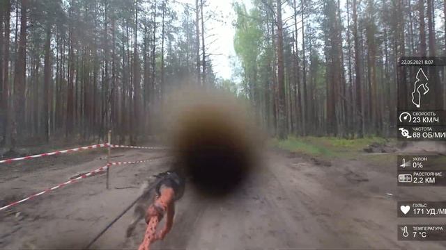 Драйленд Белые Ночи 2021, DBM RNB1, Маршал, первый этап / Dryland White Nights 2021, DBM, first rac смотреть онлайн