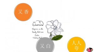 茉莉花 | Mo Li Hua | Jasmine Flower | Mandarin Kids Song with Lyrics
