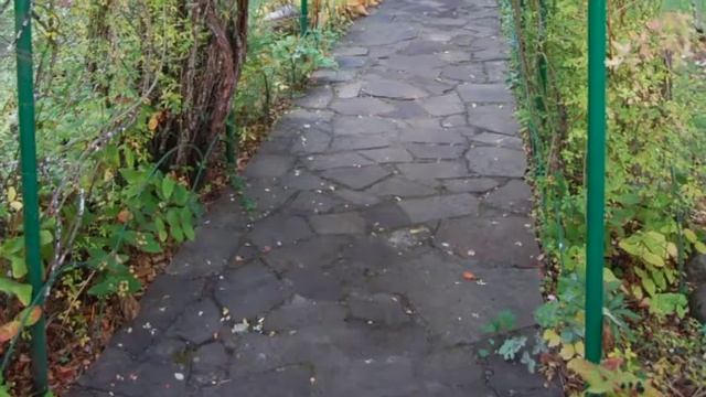 25 de Junio de 2017 - Nació al Cielo Nuestra Hermana Anacoreta Mercedes смотреть онлайн