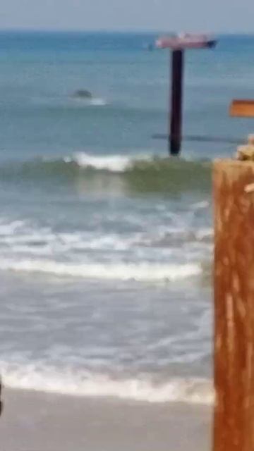 HDPE Sea Water Intake System смотреть онлайн