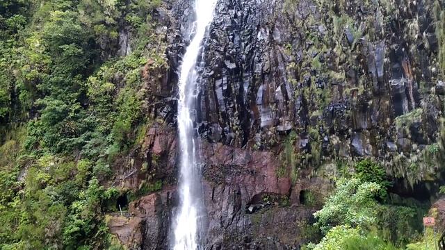 Мадейра. Водопад Риску (17.09.2019) смотреть онлайн