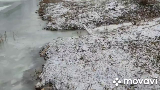 НАГЛОСТЬ ВТОРОЕ СЧАСТЬЕ